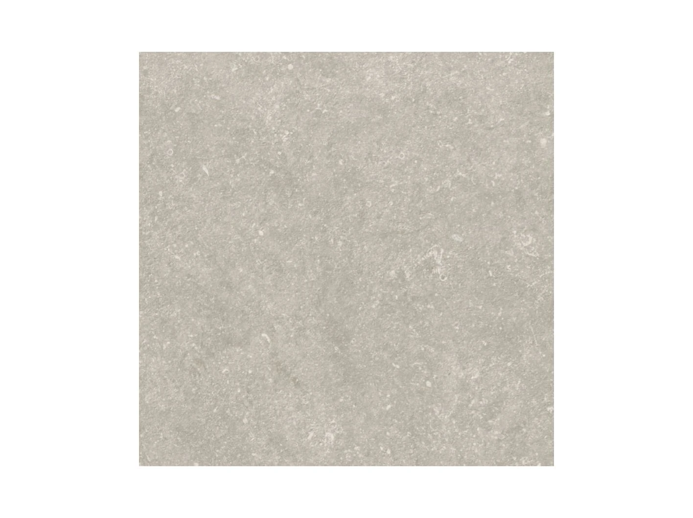 Keramische Tegel 59.5 x 59.5 x 2 cm (595 x 595 x 20 mm) Ceramica Terrazza medicio Grijs - Afbeelding 1